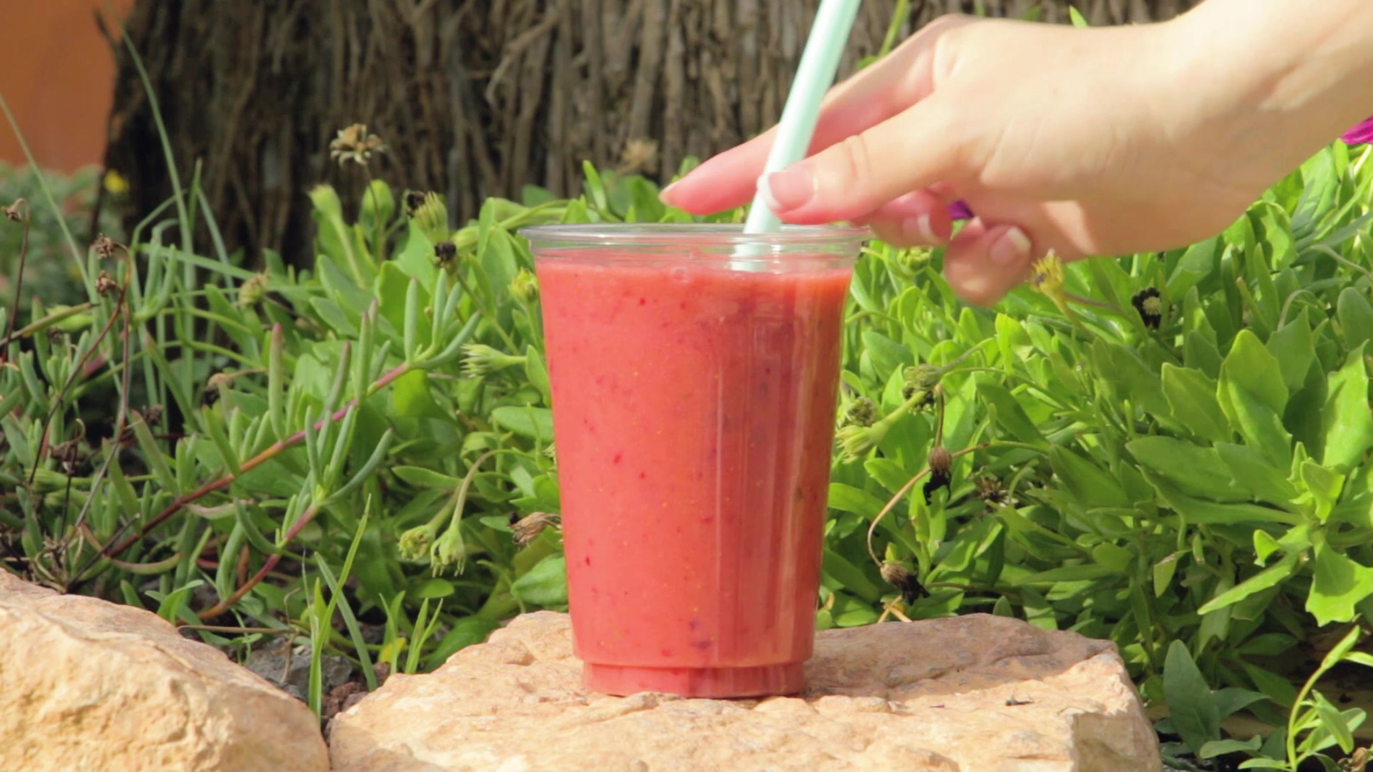 Spot - This Fruta
